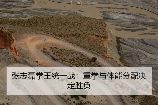 张志磊拳王统一战：重拳与体能分配决定胜负