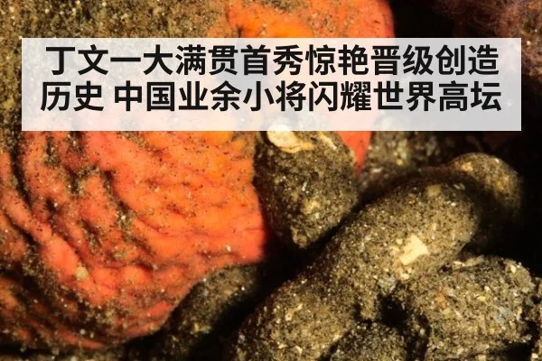 丁文一大满贯首秀惊艳晋级创造历史 中国业余小将闪耀世界高坛